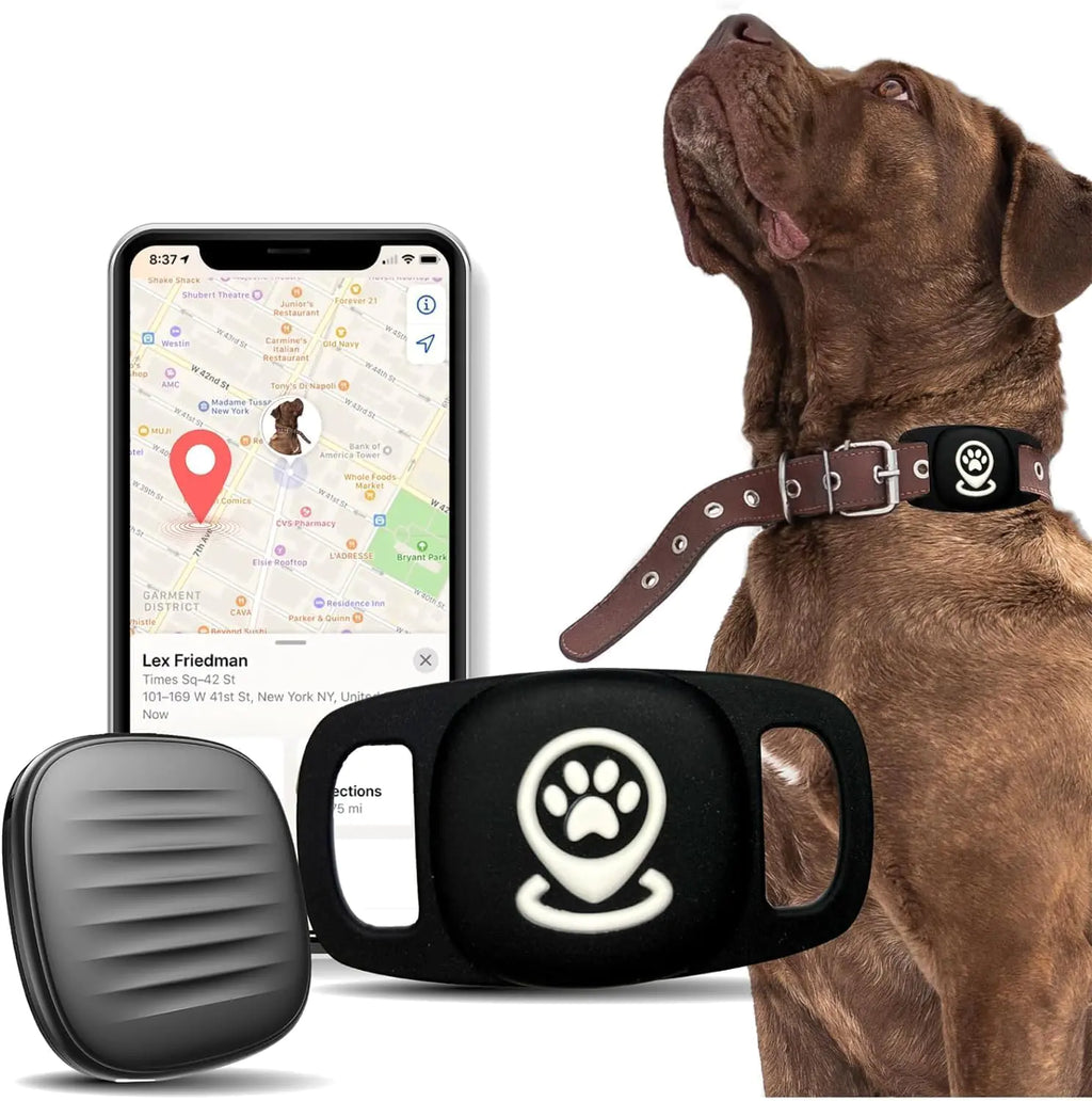 Smart Collar Tracker Device No Monthly Fee (iOS Only)