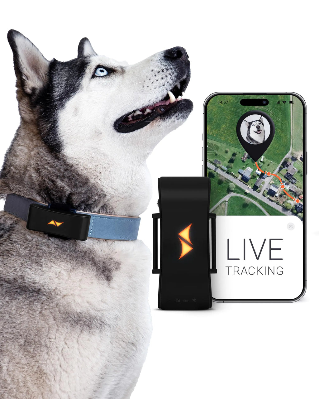 GPS Tracker for Dogs - Runaway Alarms + Worldwide Live Tracking